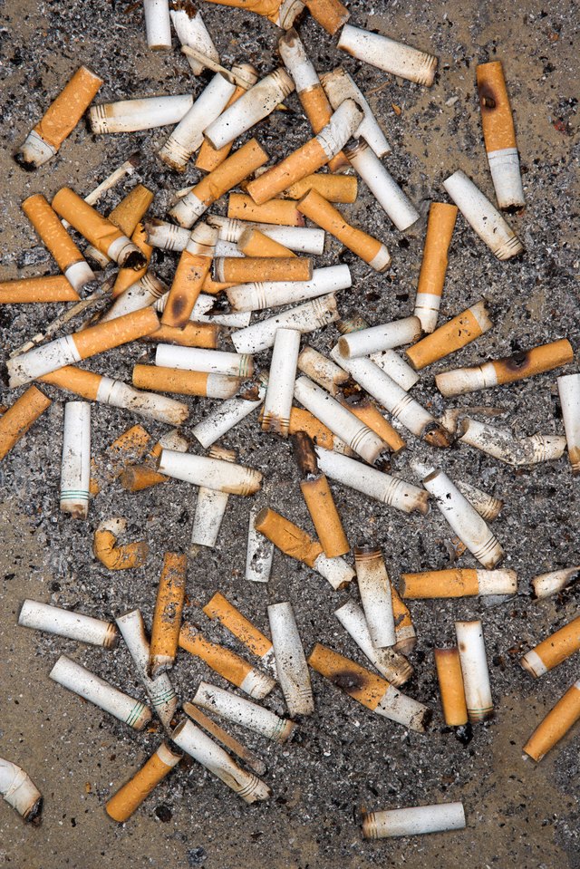 eat cigarette ashes Accidentally flicked cigarette ashes into the wrong can. Don't smoke, kids.  : r/mildlyinfuriating