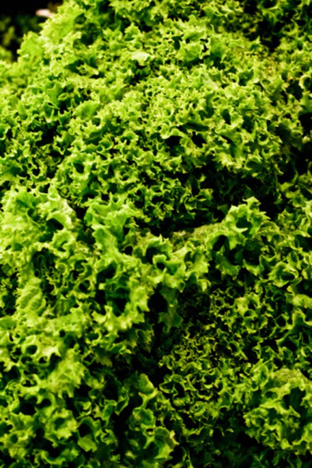 How to Clean Kale With Vinegar | ehow