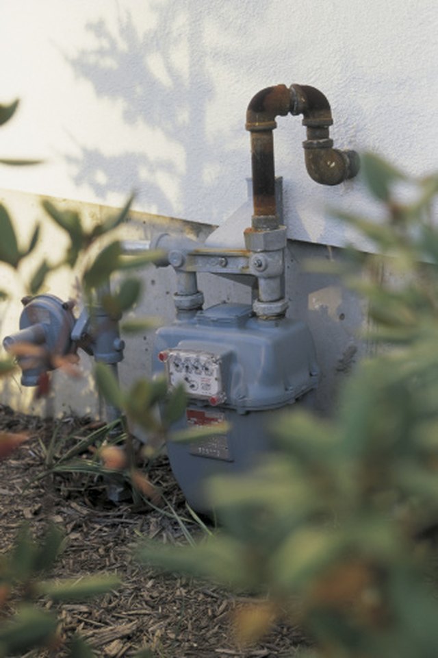 How to Hide a Natural Gas Meter With Plants | ehow