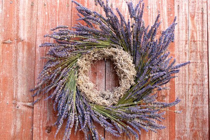 Lavender Wreath