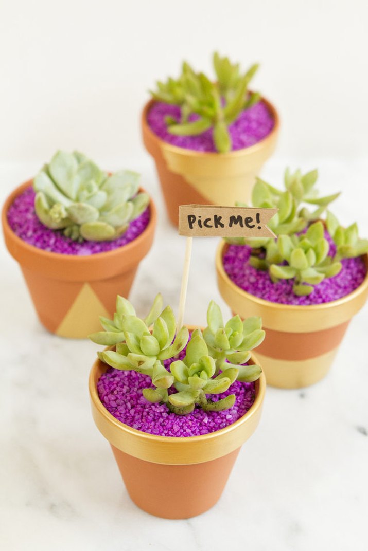 Succulent planters.