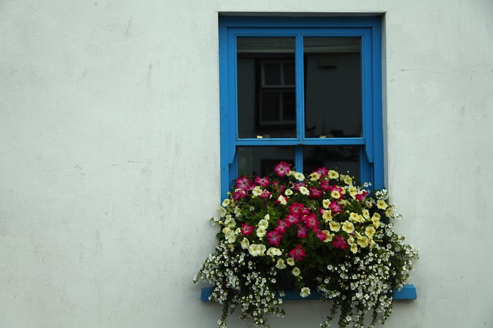 10 Ways to Add Curb Appeal in a Weekend