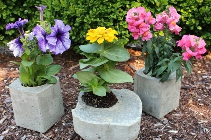 concrete planters from milk cartons