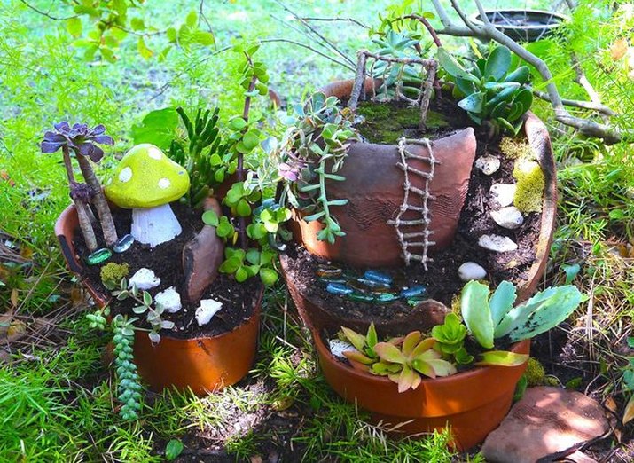A fairy garden.