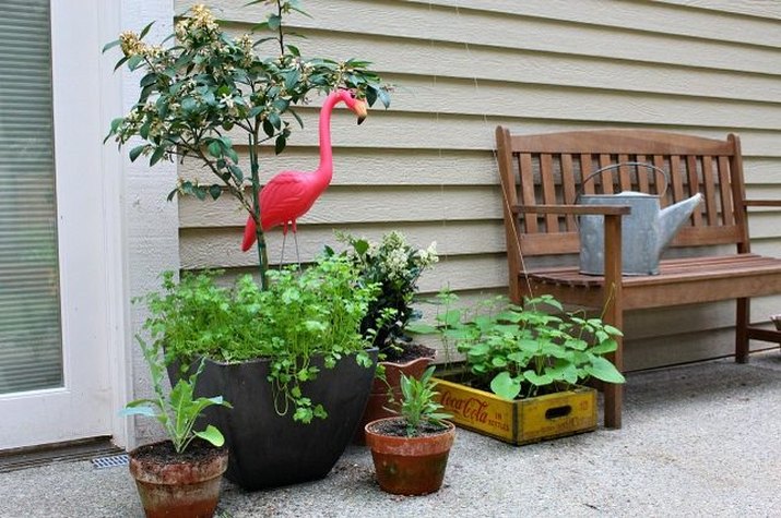 Build a Container Vegetable Garden