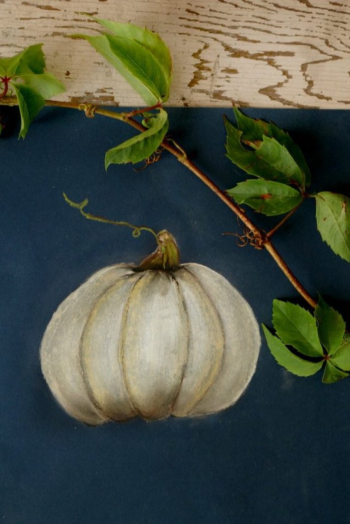 Pastel illustration of a pumpkin.