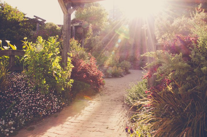 10 Ways to Add Curb Appeal in a Weekend