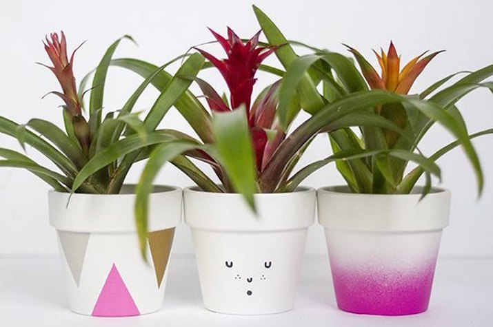 Three painted pots.