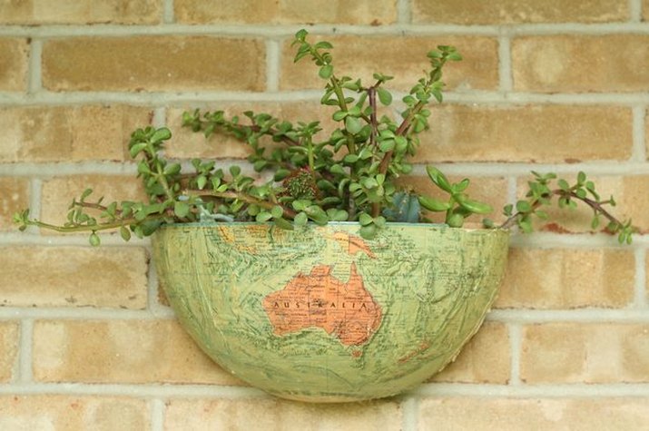 How to make a succulent wall hanging