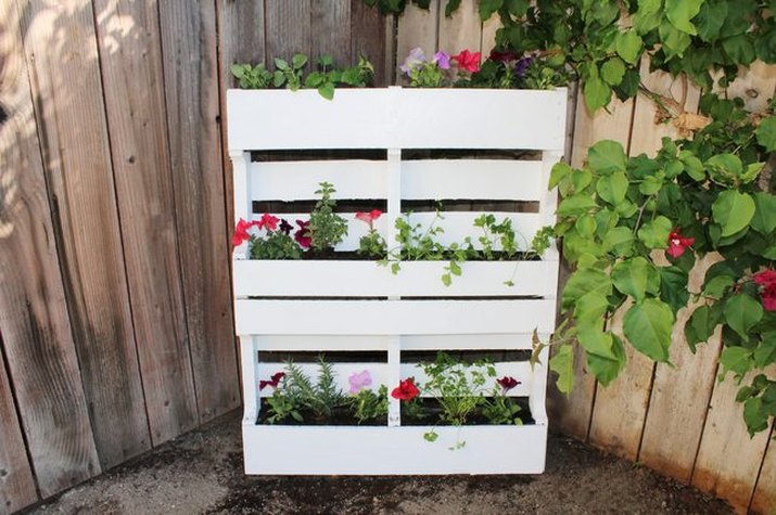 A vertical garden.