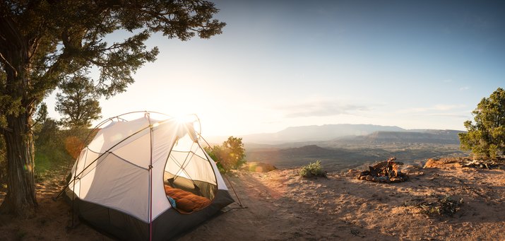 Tent Camping Under a Pinon Tree in the Desert, First Morning Light and a Campfire